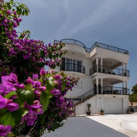 Adria House - Lavendar