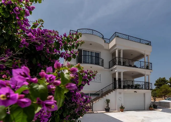 Adria House - Lavendar